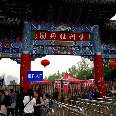 从“说老婆婆”到“走姥娘家”，感受山东菏泽的婚俗习语（下篇）