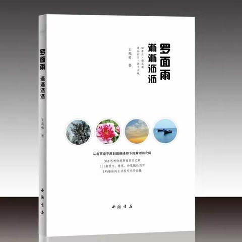 罗面雨淅淅沥沥 ——如果人生可以留下点什么，文字和图片或是最好的记载