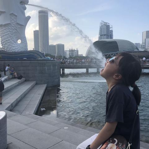 7月遇见singapore—小桐旅行记✈️day3