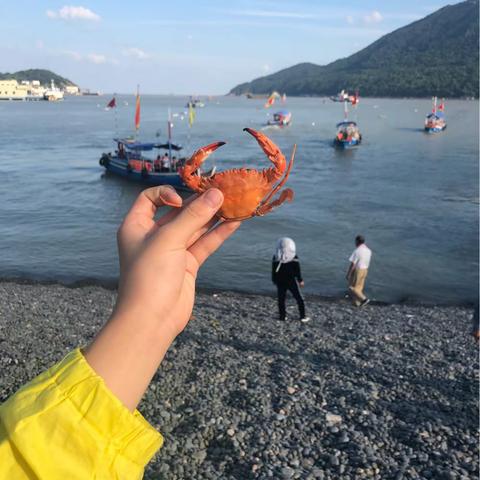 🇨🇳—-小桐舟山之旅