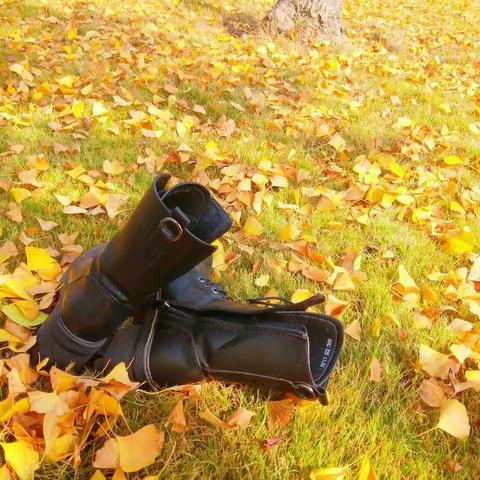 时光温暖，我们不散