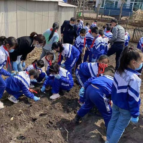 《劳动最光荣，实践出真知》恭六小学劳动教育实践活动总结