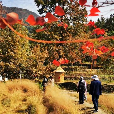 【塔川相约赏秋色】2022年深秋自驾游（三）