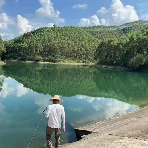 钦州灵山40亩水库出租