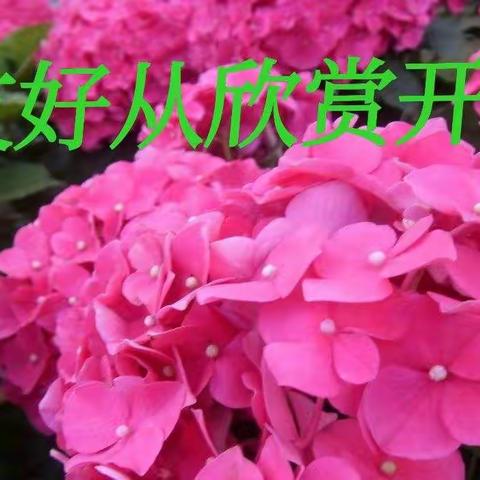 友好从欣赏开始