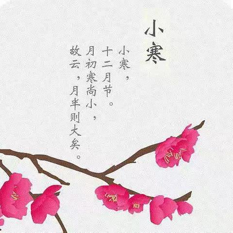 别样小寒，乐暖冬日