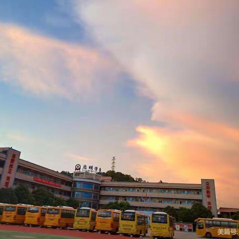 谢谢您“跟我来”