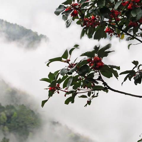 大山之端，云雾之情