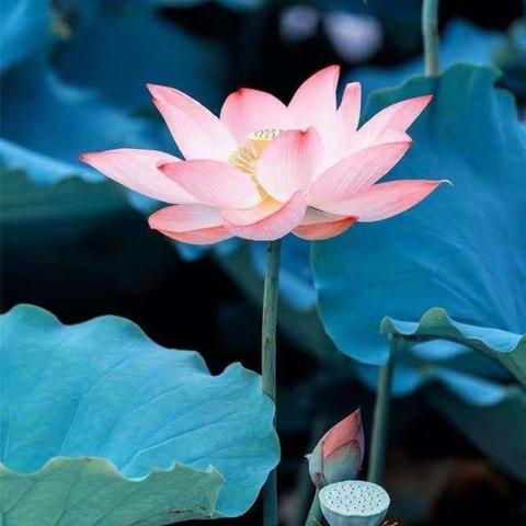 我的暑假我做主——怀仁市第十小学同学们的暑假社会实践活动