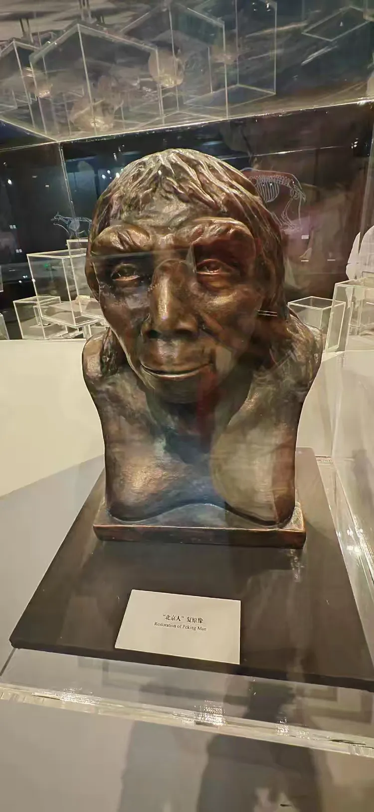 世界遗产—周口店北京人遗址