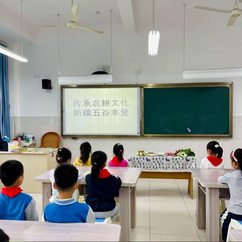 传承农种文化，耕耘青竹未来——西周小学205班青竹中队种植启动活动