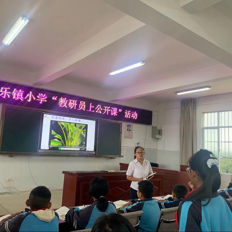 民乐镇小学“教研员上公开课”活动