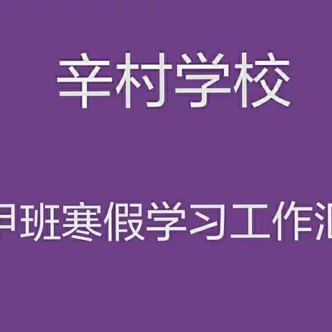 辛村学校四甲班寒假学习工作汇报