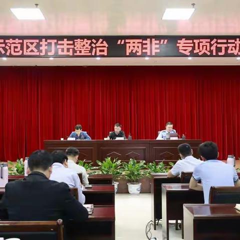 打击整治“两非”和养老诈骗专项行动培训会