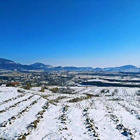 马岭印象· 家乡美