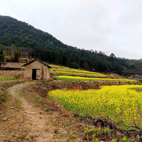 漫步燕田岭