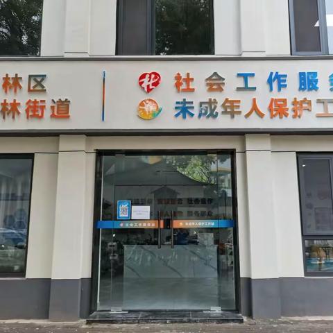 汇聚“五社”力量，联动基层治理——柏树林街道社工站开展规范化建设培训