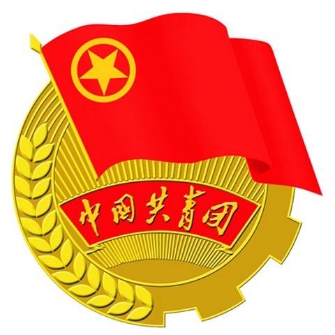 柳车青年 | 湛江学习临时团支部开展2020年度组织生活会