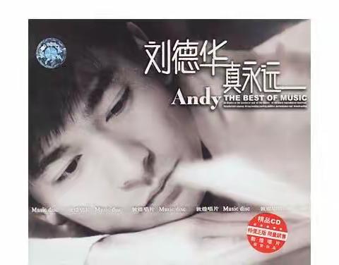 《真永远》吉它自弹自唱