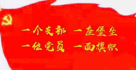 【灞桥教育】不平凡的日子  有她坚守———纺织城小学“党员护卫队”工作纪实（十四）
