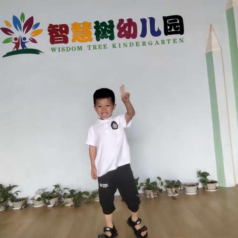 智慧树幼儿园宝贝张海杨