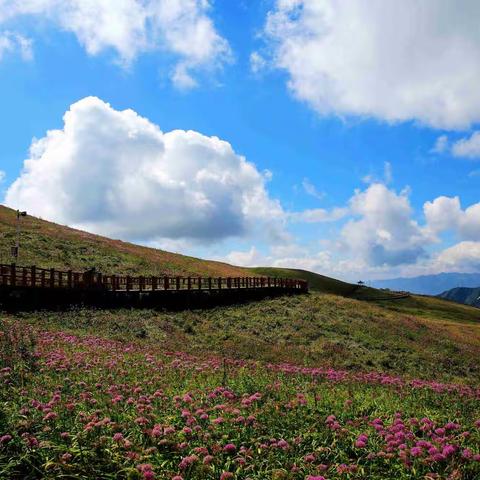这一路，“黔”是山水