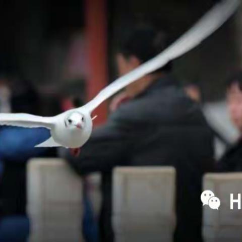 我们约定 …… 今冬再聚