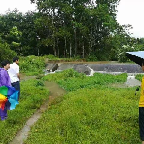 台风“杜苏芮”来了，包村镇干部查看漫水桥、五保户住房情况以及巡查、指导香鸡养殖工作