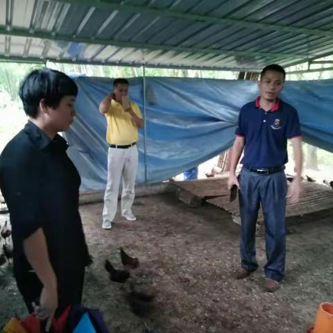南吕镇第一批香鸡舍整改后的二次验收