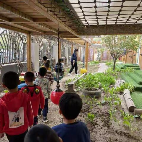 小小植物园，亲近大自然