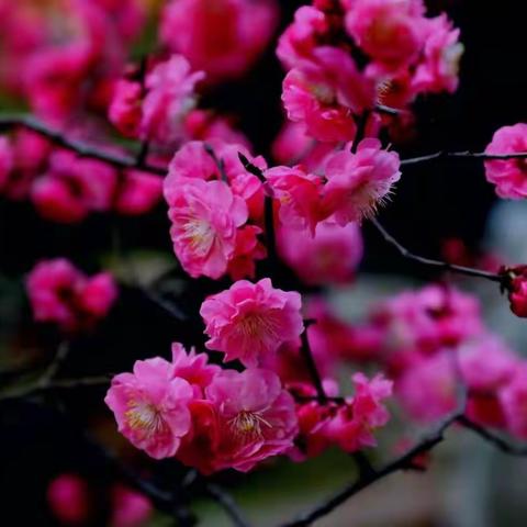 《智慧阅读、点亮人生》