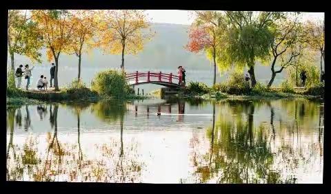 倏忽秋已至  红叶映清波