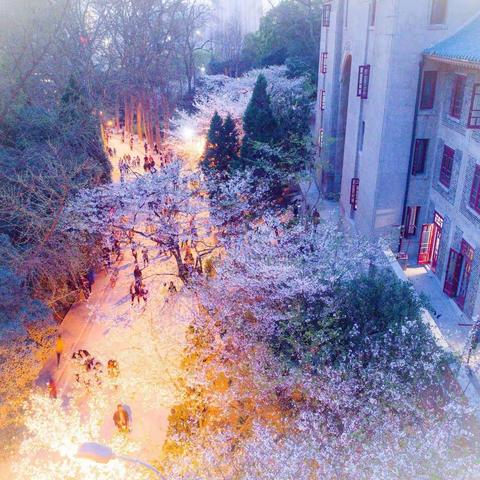 艺术课堂，美美与共——株洲市二中附小美术组教研活动