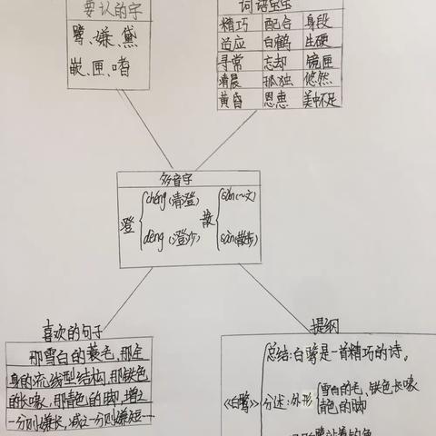 1白鹭思维导图
