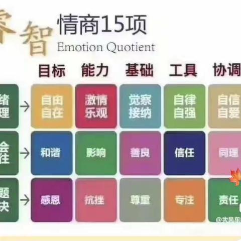 睿智情商1Q上第二周《我们的外貌不一样》