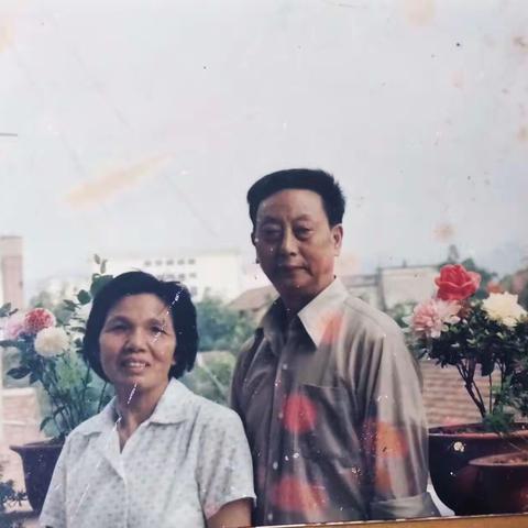 那一夜，我泪如雨下。