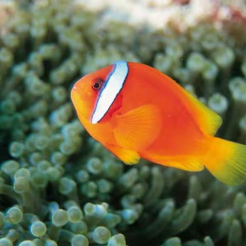 共聚焦，求创新–记2021年定安县中学生物课堂教学评比活动