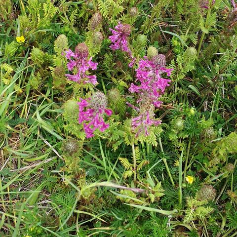 创效攻坚，后勤保障有我们，——我们在一起