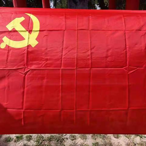 “党旗引领践初心，砥砺奋进再前行”主题教育活动纪实