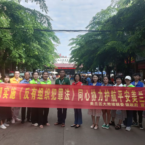 美兰区大致坡镇开展《反有组织犯罪法》宣传活动