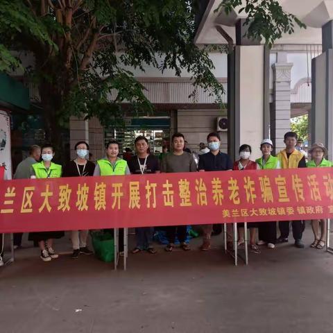 美兰区大致坡镇开展打击整治养老诈骗宣传活动