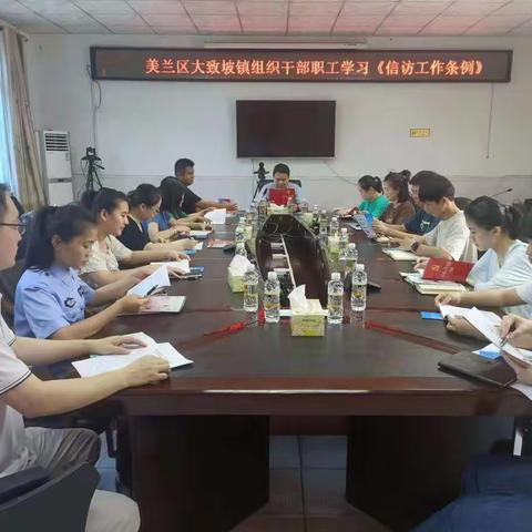 美兰区大致坡镇组织干部职工学习《信访工作条例》