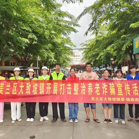 美兰区大致坡镇开展打击整治养老诈骗宣传活动（二）