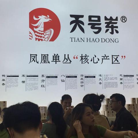 深圳茶博会3