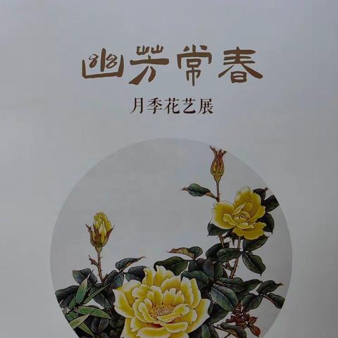 【幽芳常春】月季花艺展