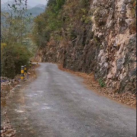 无限风光在险峰，狮爱光明到险峰