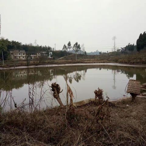 触景生情
