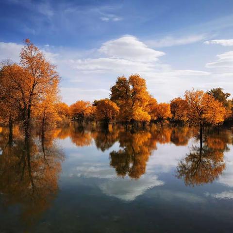 2019额济纳胡杨林 徒步之旅