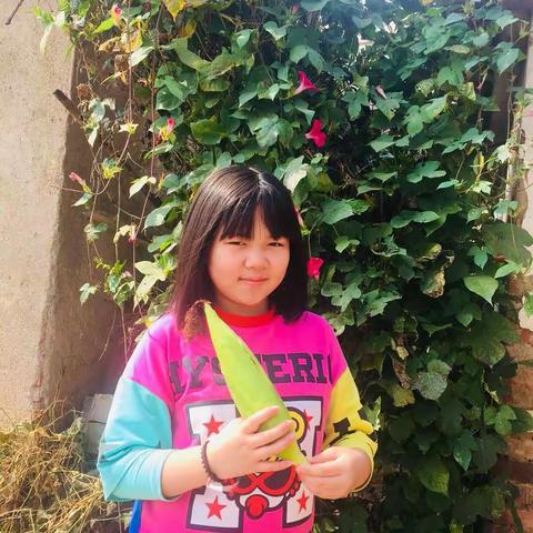 实验小学四年级四班研学旅行~美丽乡村，美丽的景色