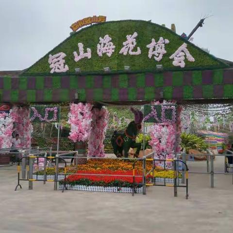 冠山海花博会掠影